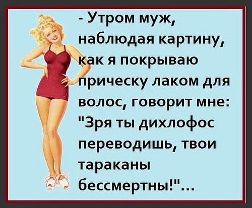 Фото Бархат сеть