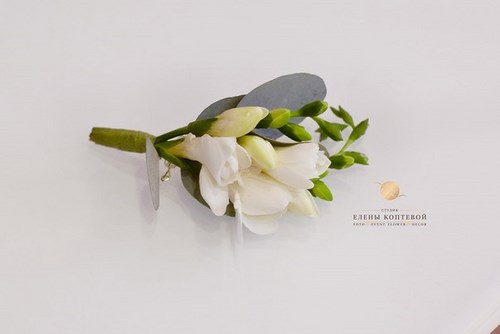 Flower &