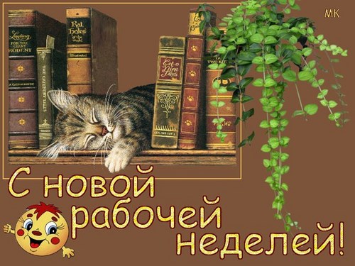 Новость Главная Дорога