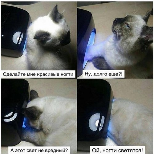 Фото ИНТАЛИЯ, студия маникюра и педикюра