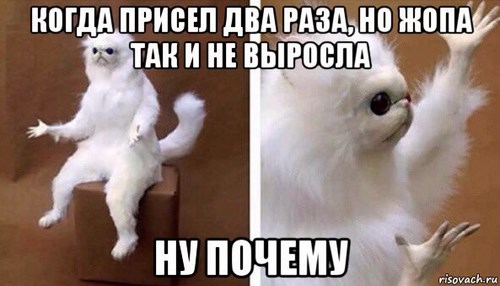 Фото Искусство движения фитнес-клуб