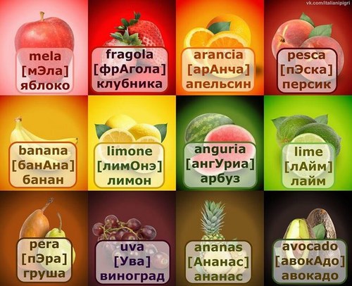 LinguaTerra, языковая школа