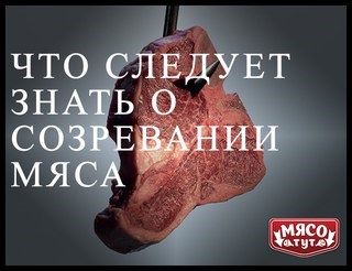 Для Мясо тут