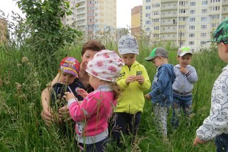 Изображение Peek.a.boo Калуга