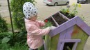 Peek.a.boo развивающий